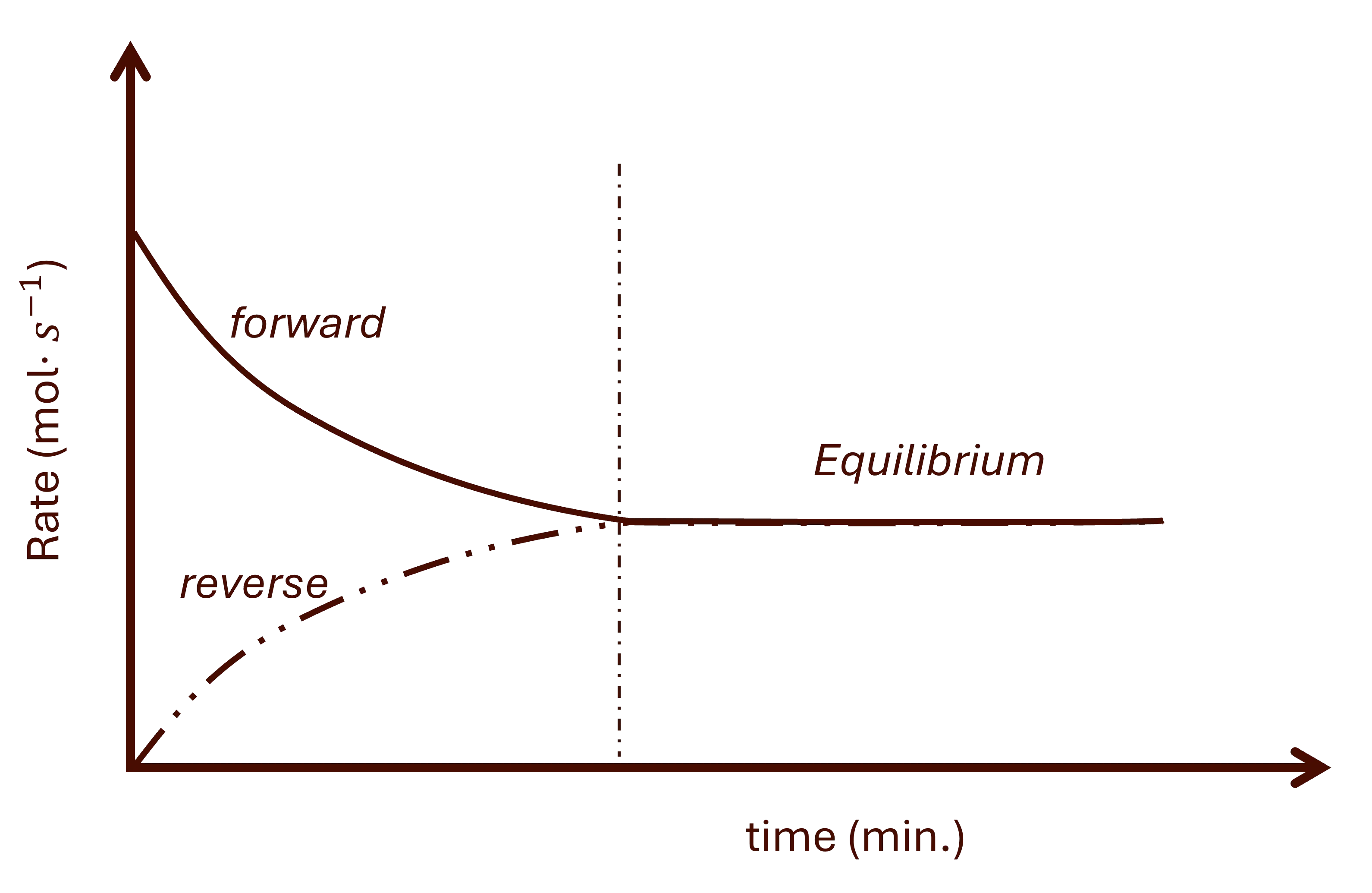 Equilibrium graph rate vs time